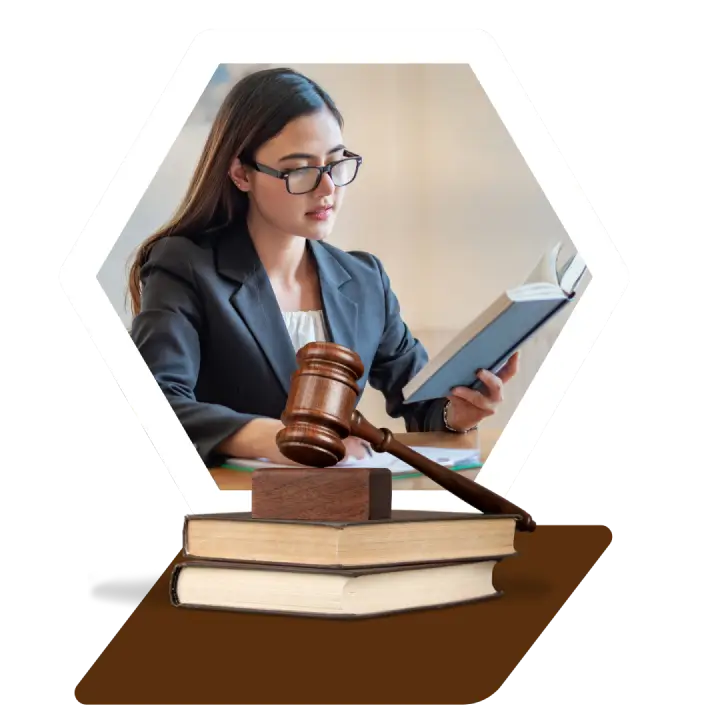 Brighter Approach to Comprehensive LNAT Prep